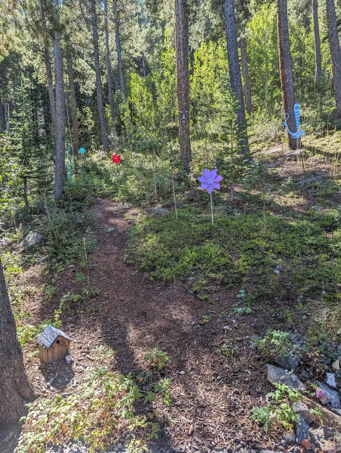 The private trail leading into the forest behind the cabin.