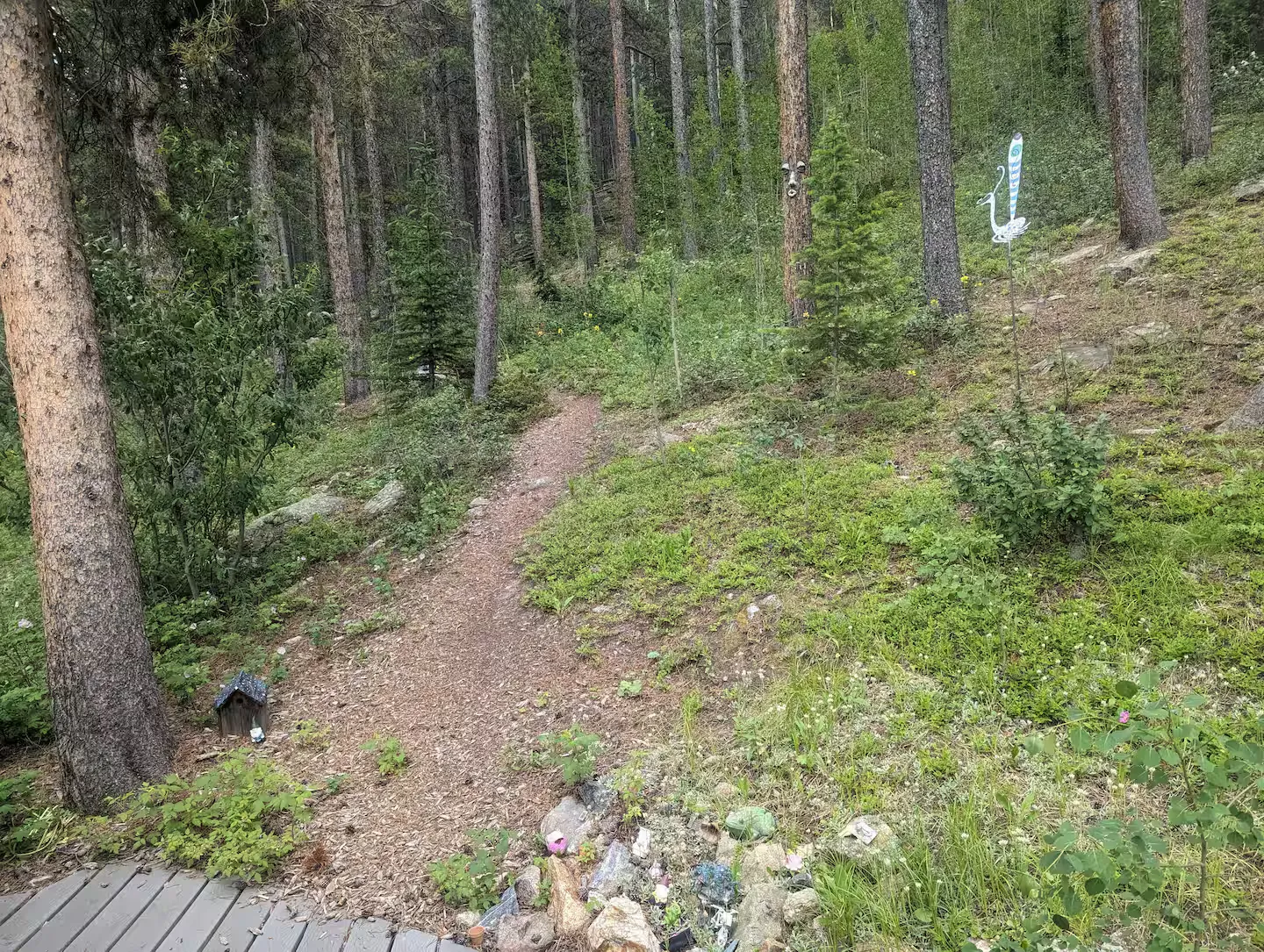 Following the trail toward the quarry overlook.