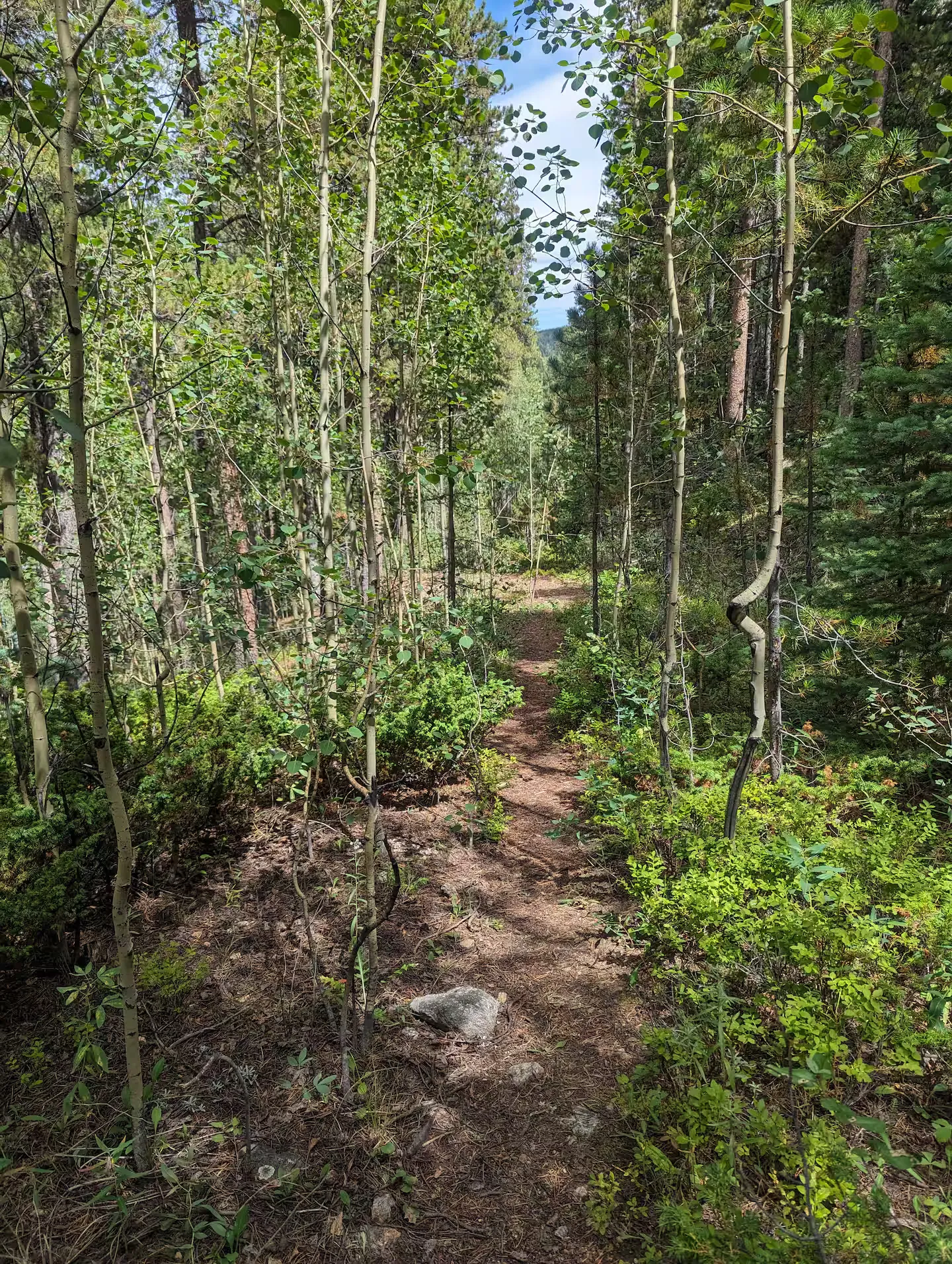 The trail to the hidden quarry overlook.