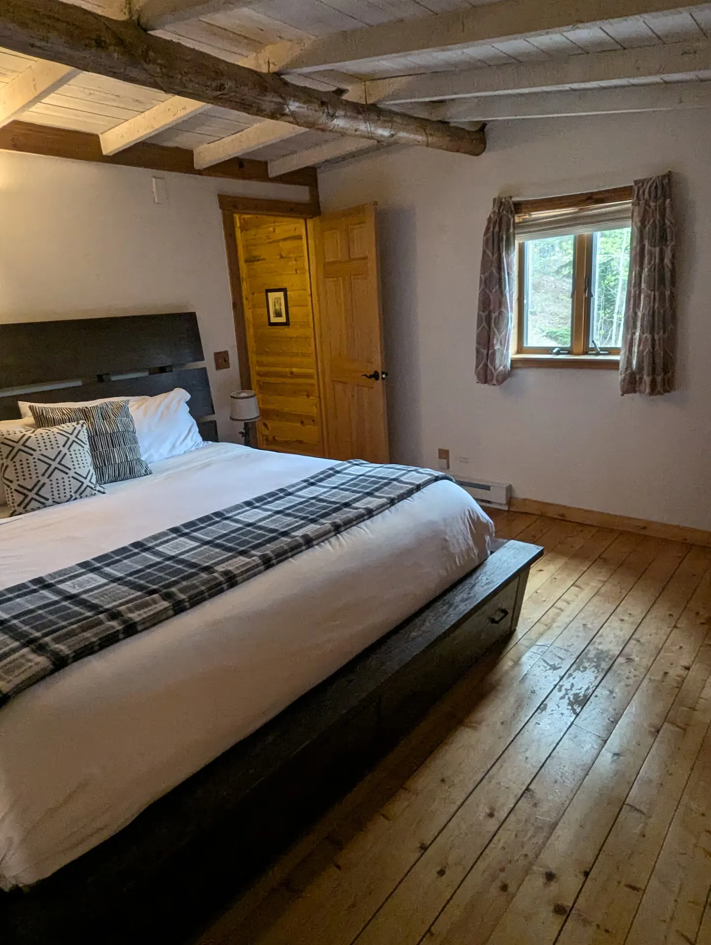 The king bedroom's forest-view windows.