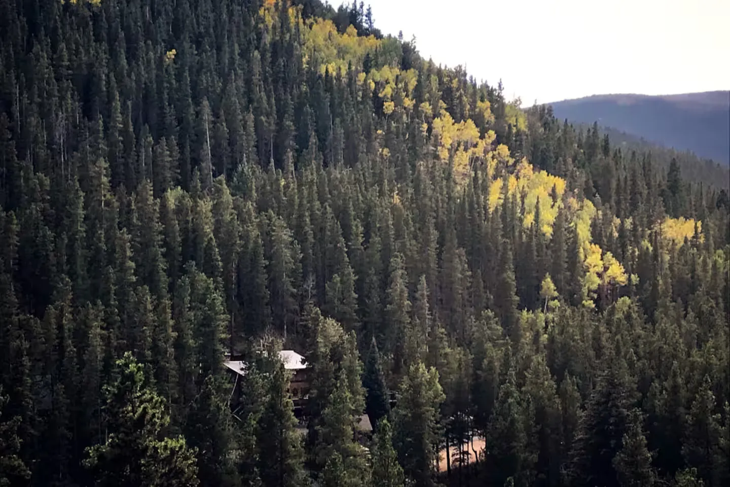 Aerial view of the cabin and its four private wooded acres.