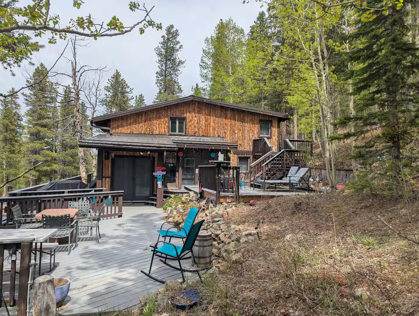 The cabin's full exterior nestled among tall pines.