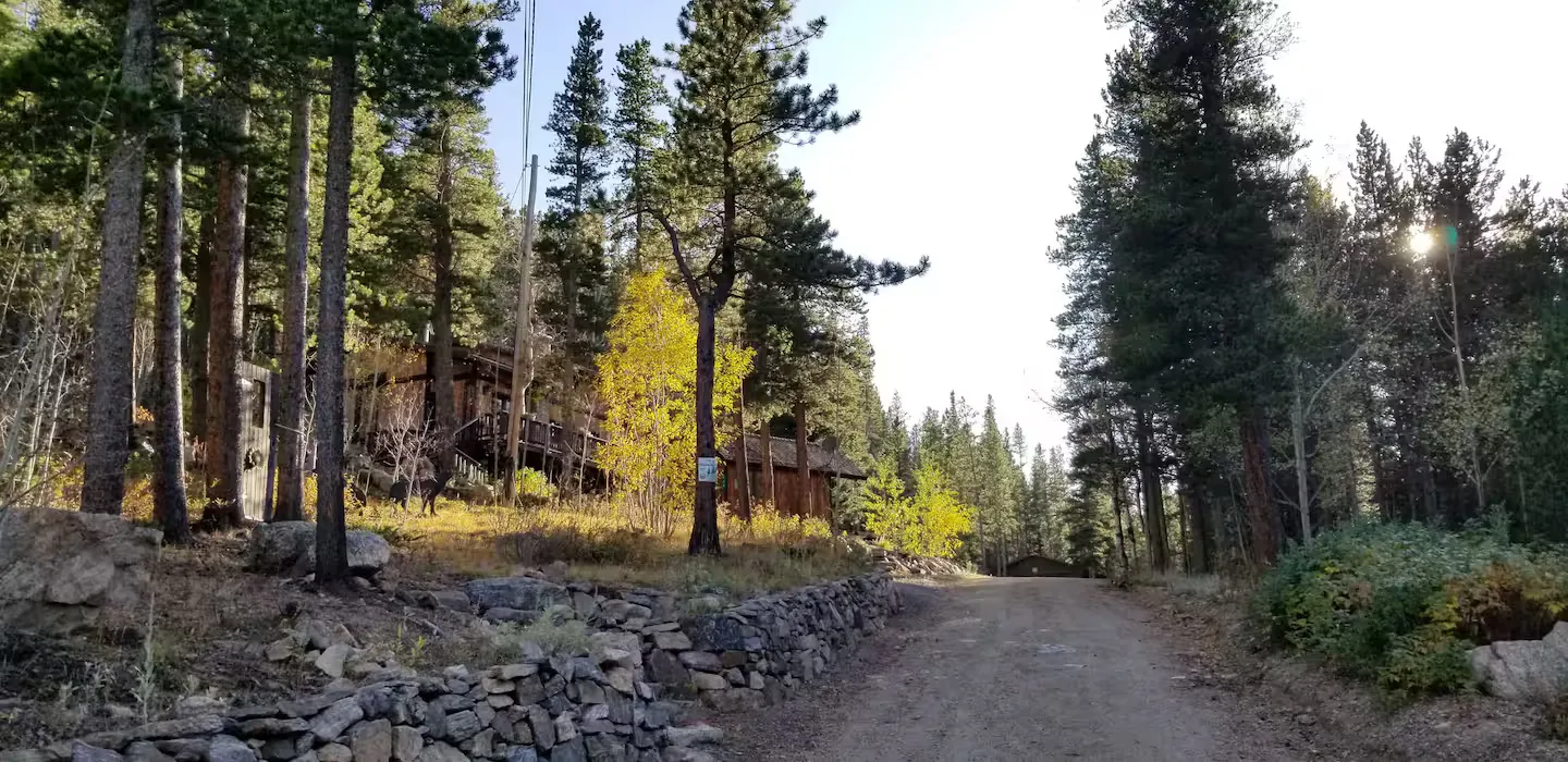 The forest road winding up to the cabin.