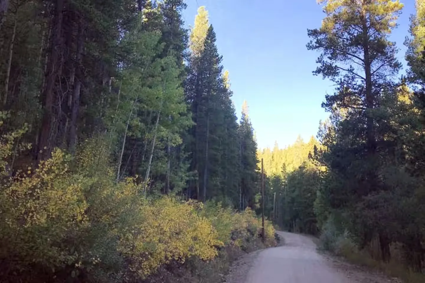 Moon Gulch Road, just down the hill
