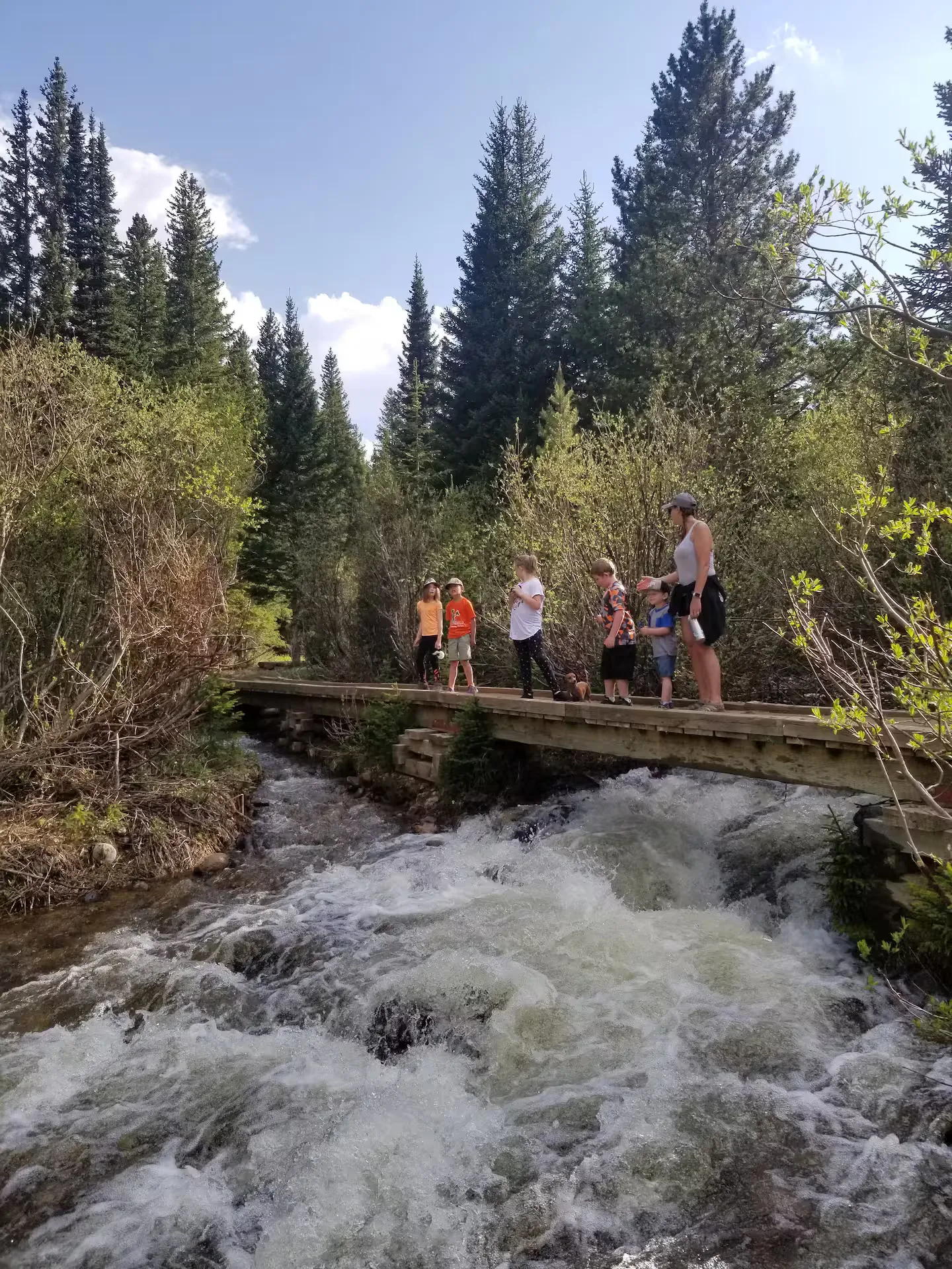 South Boulder Creek trail