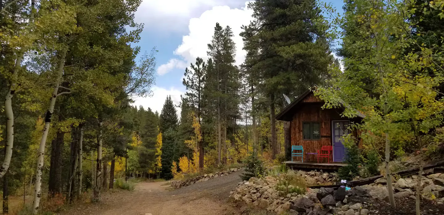 The studio surrounded by fall foliage.